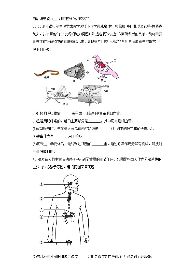 2024年中考生物二轮专题复习 综合题（含答案）第2页