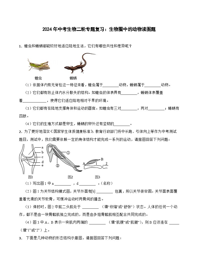 2024年中考生物二轮专题复习：生物圈中的动物读图题（含答案）第1页
