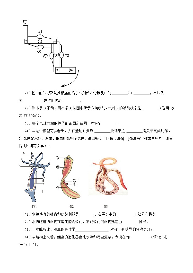2024年中考生物二轮专题复习：生物圈中的动物读图题（含答案）第3页