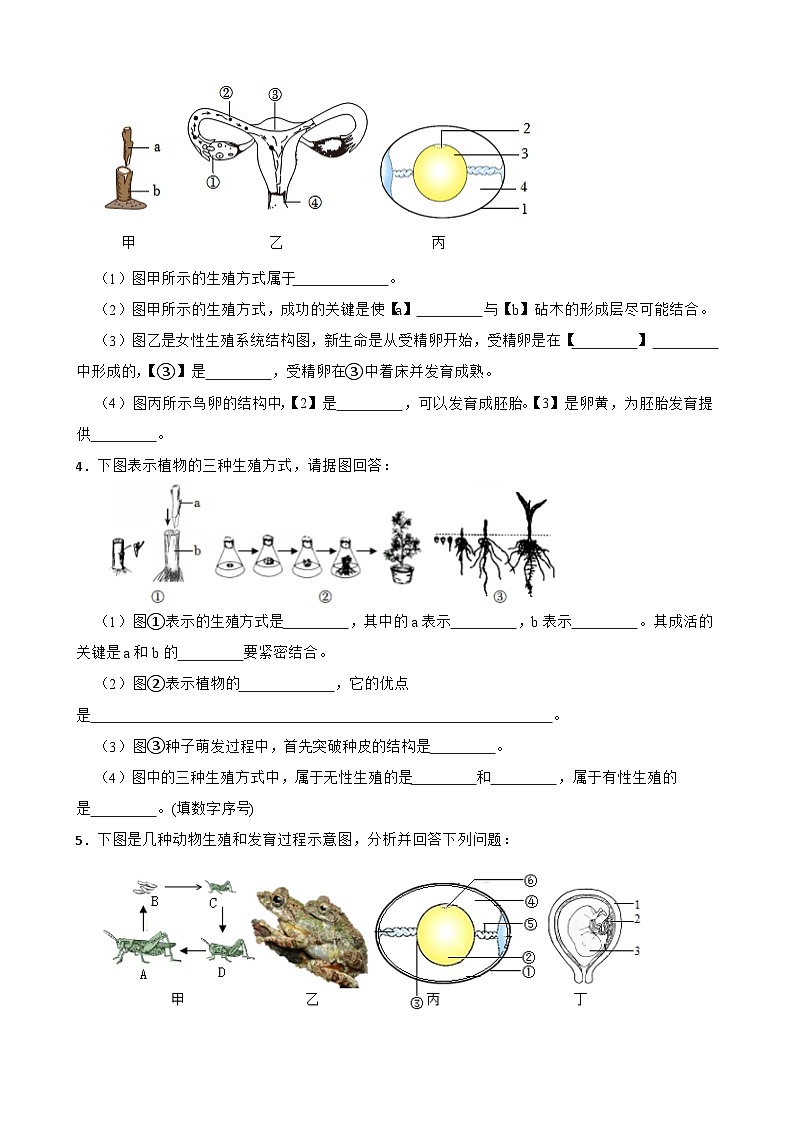 2024年中考生物二轮专题复习：生物的延续与发展读图题（含答案）第2页