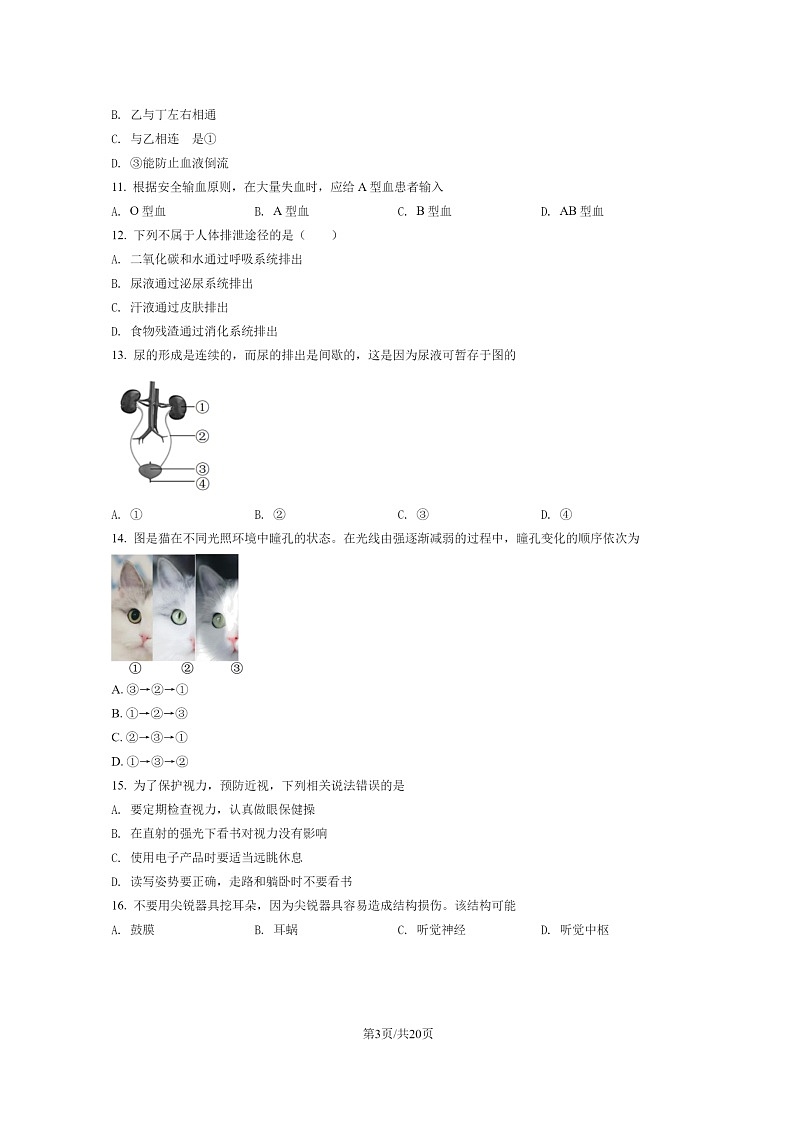 [生物]2022北京海淀初一下学期期末试卷及答案03