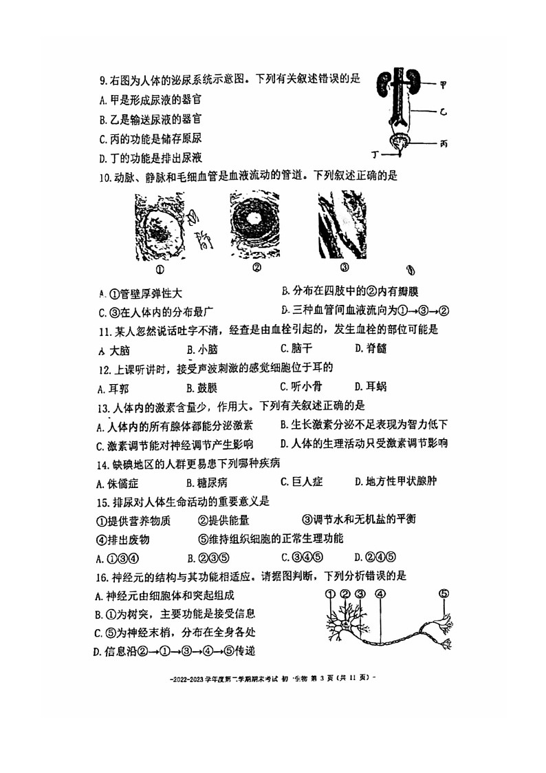 [生物]2023北京二中初一下学期期末试卷及答案03