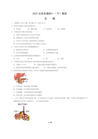 [生物]2022北京东城初一下学期期末试卷及答案