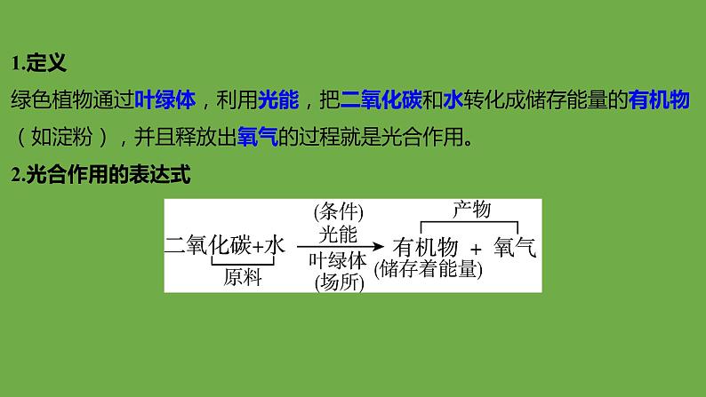 2024年中考生物（福建地区）专题复习：光合作用和呼吸作用课件PPT第3页