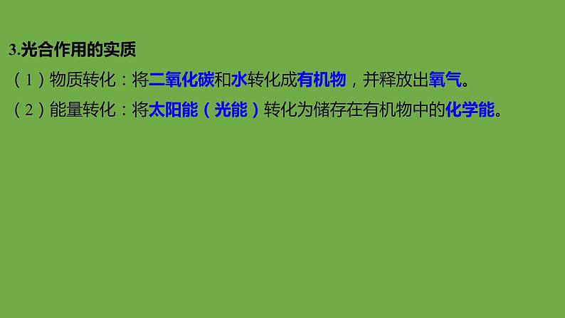 2024年中考生物（福建地区）专题复习：光合作用和呼吸作用课件PPT第4页