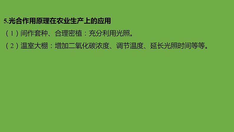 2024年中考生物（福建地区）专题复习：光合作用和呼吸作用课件PPT第6页