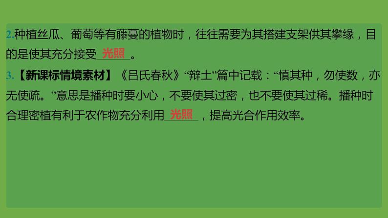 2024年中考生物（福建地区）专题复习：光合作用和呼吸作用课件PPT第8页