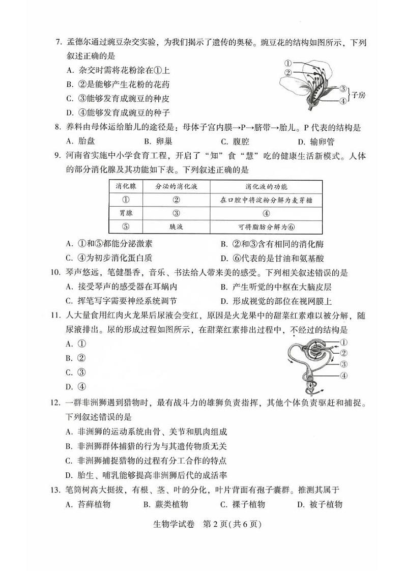2024年河南省普通高中招生考试试卷生物附答案第2页