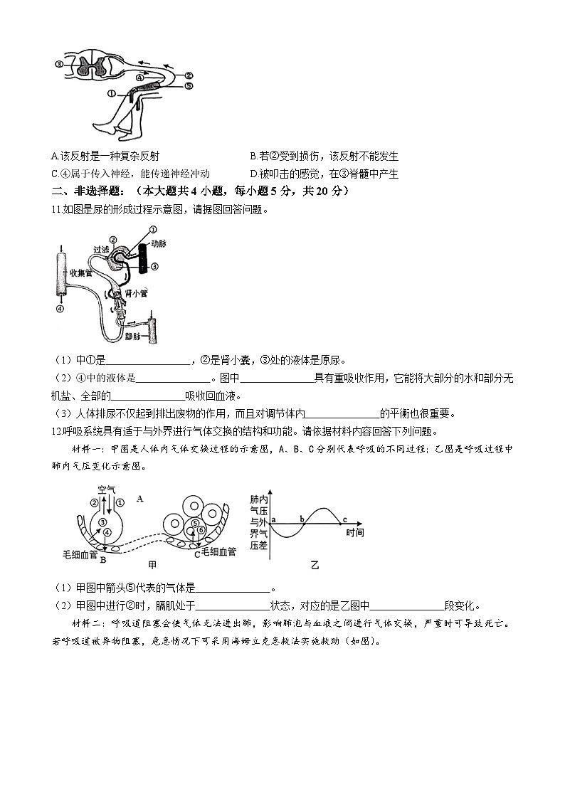 安徽省池州市贵池区2023-2024学年七年级下学期期末考试生物试卷第3页