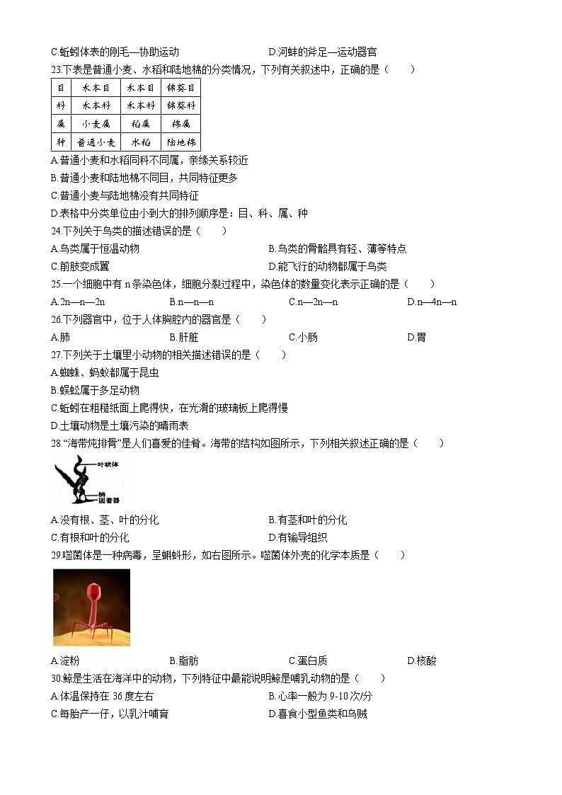 江苏省镇江市丹徒区2023-2024学年七年级下学期6月期末考试生物试题(无答案)第3页