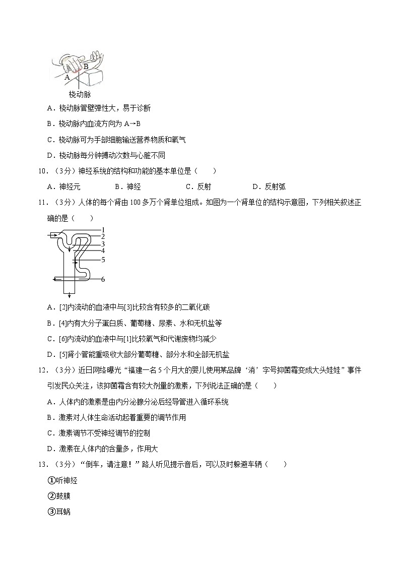 2022-2023学年湖南省衡阳市衡山县四校联考七年级（下）期末生物试卷03