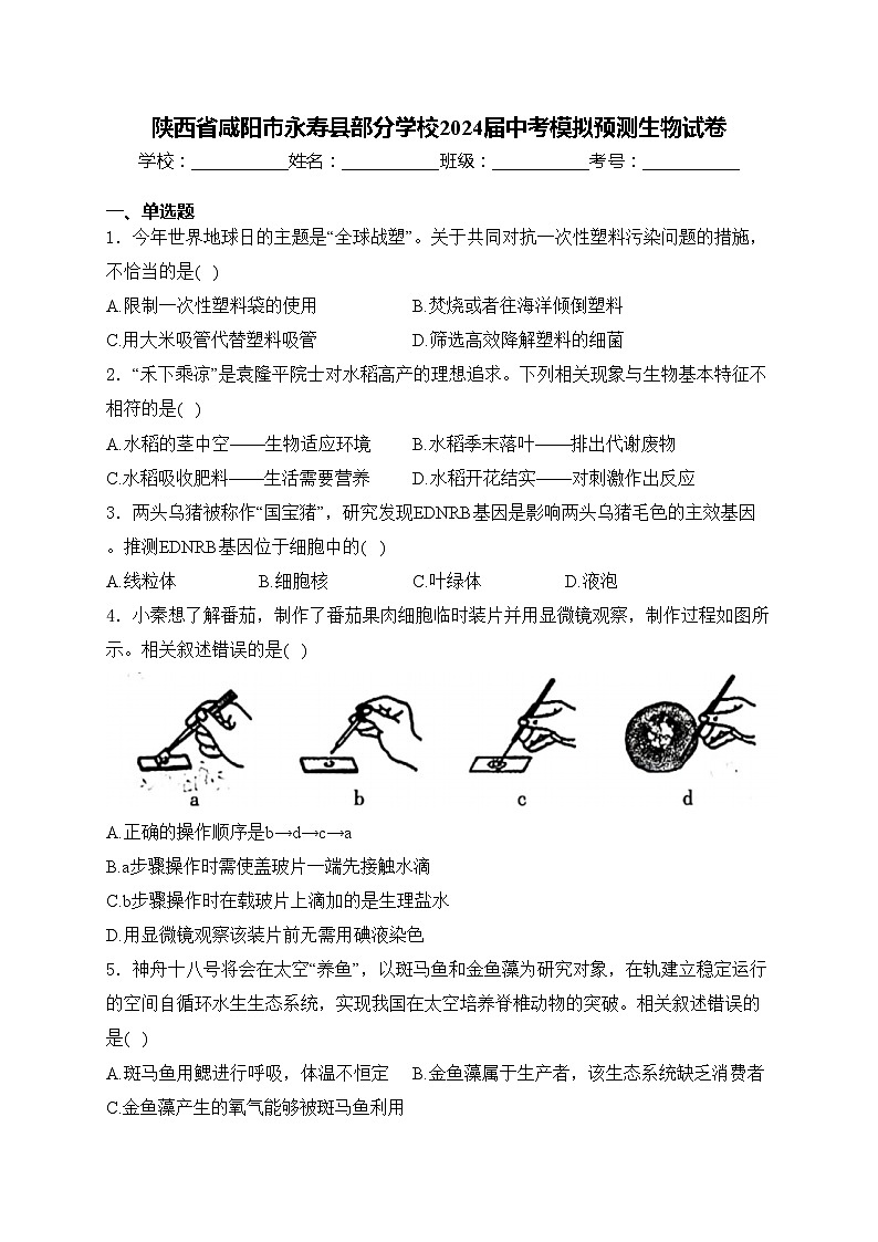 陕西省咸阳市永寿县部分学校2024届中考模拟预测生物试卷(含答案)01