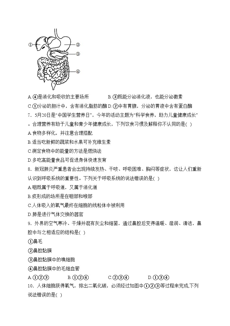 四川省泸州市龙马潭区五校联考2023-2024年学年七年级下学期6月月考生物试卷(含答案)第2页