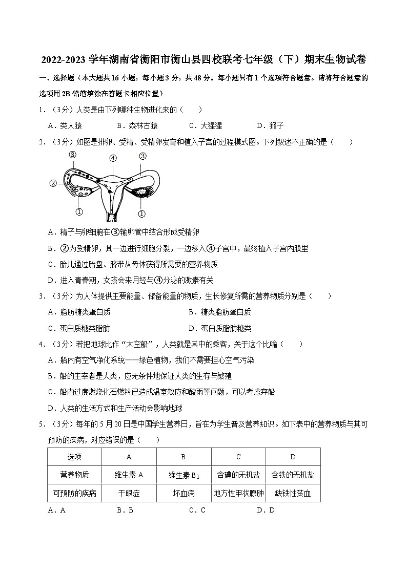 湖南省衡阳市衡山县四校联考2022-2023学年七年级下学期期末生物试卷01