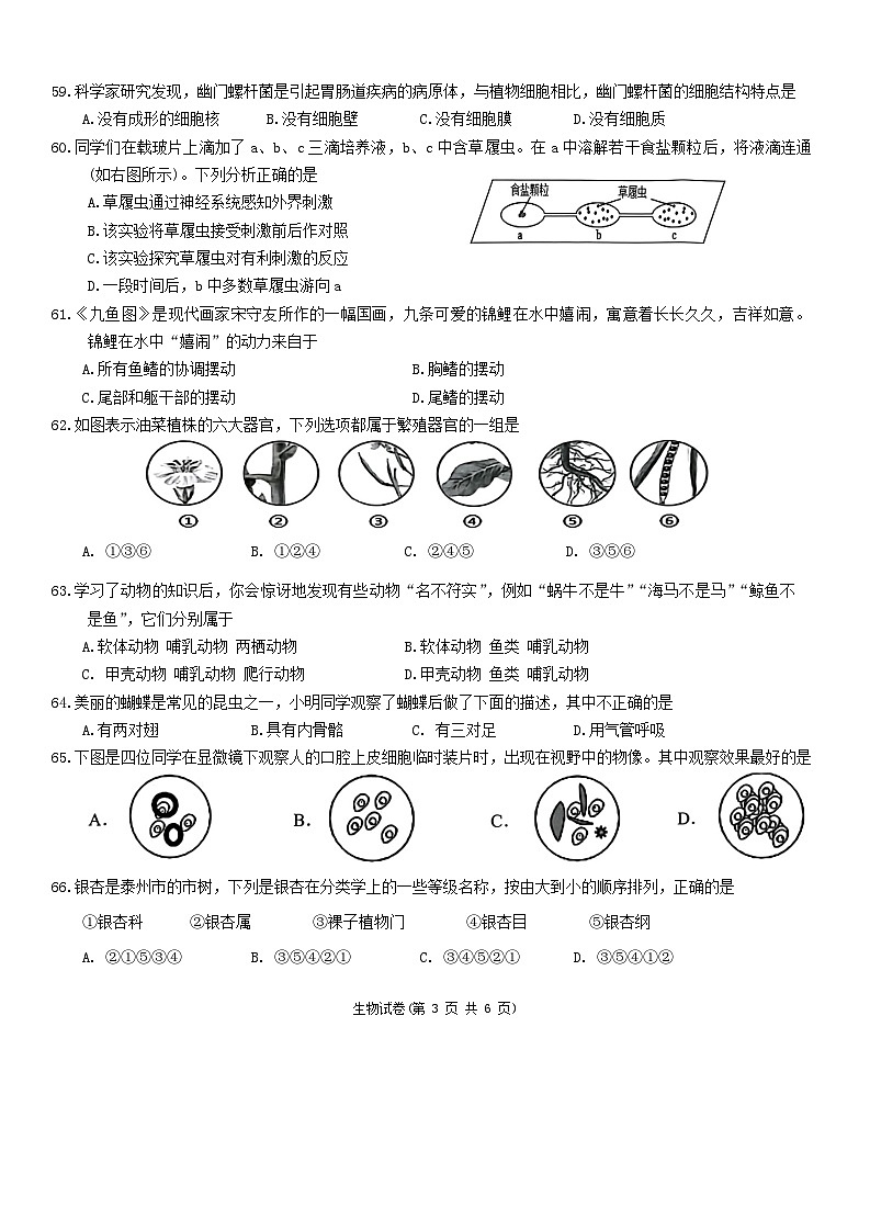江苏省泰州市海陵区2023~2024学年七年级下学期期末学业水平测试生物试卷03