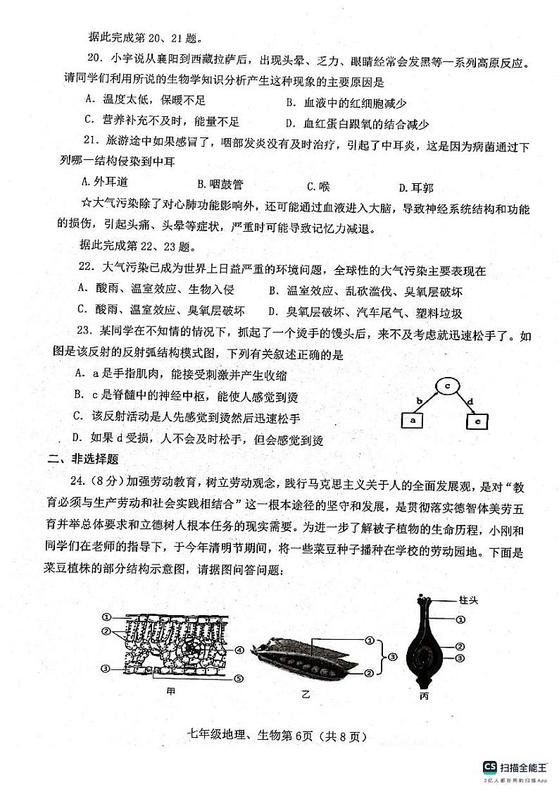 湖北省襄阳市枣阳市2023-2024学年七年级下学期6月期末考试生物试题第2页