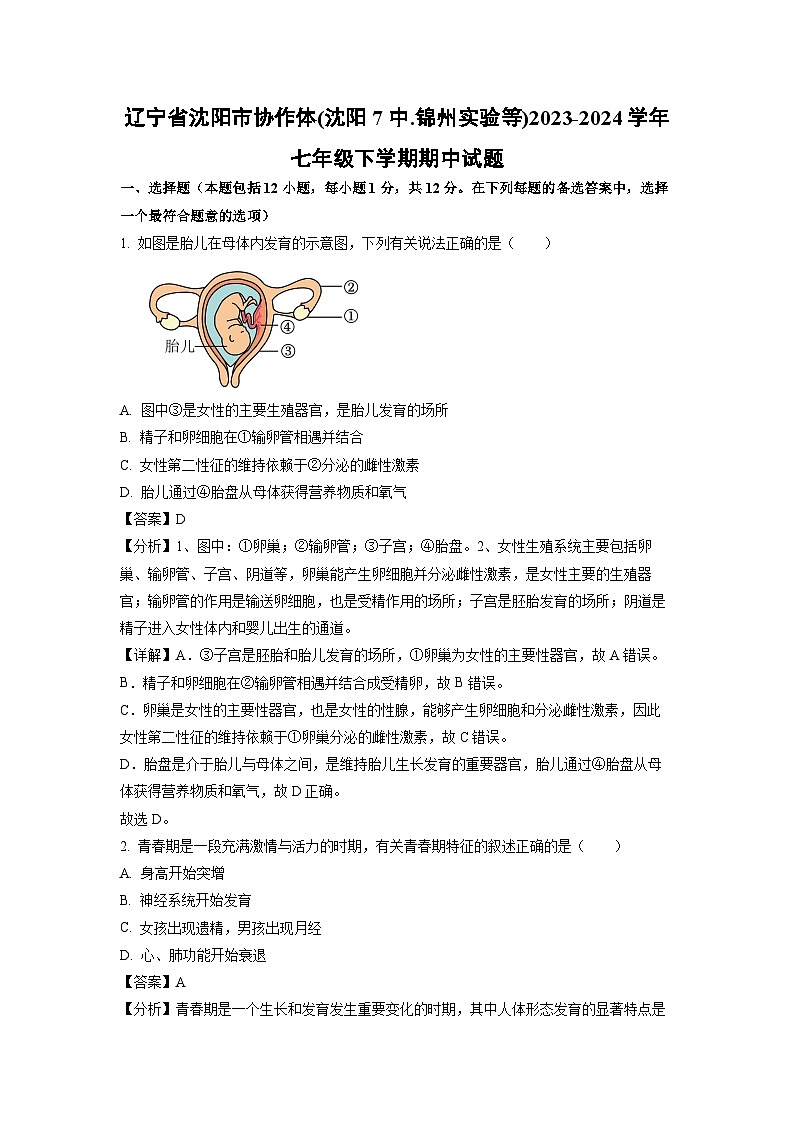 [生物]辽宁省沈阳市协作体(沈阳7中.锦州实验等)2023-2024学年七年级下学期期中试题（解析版）01