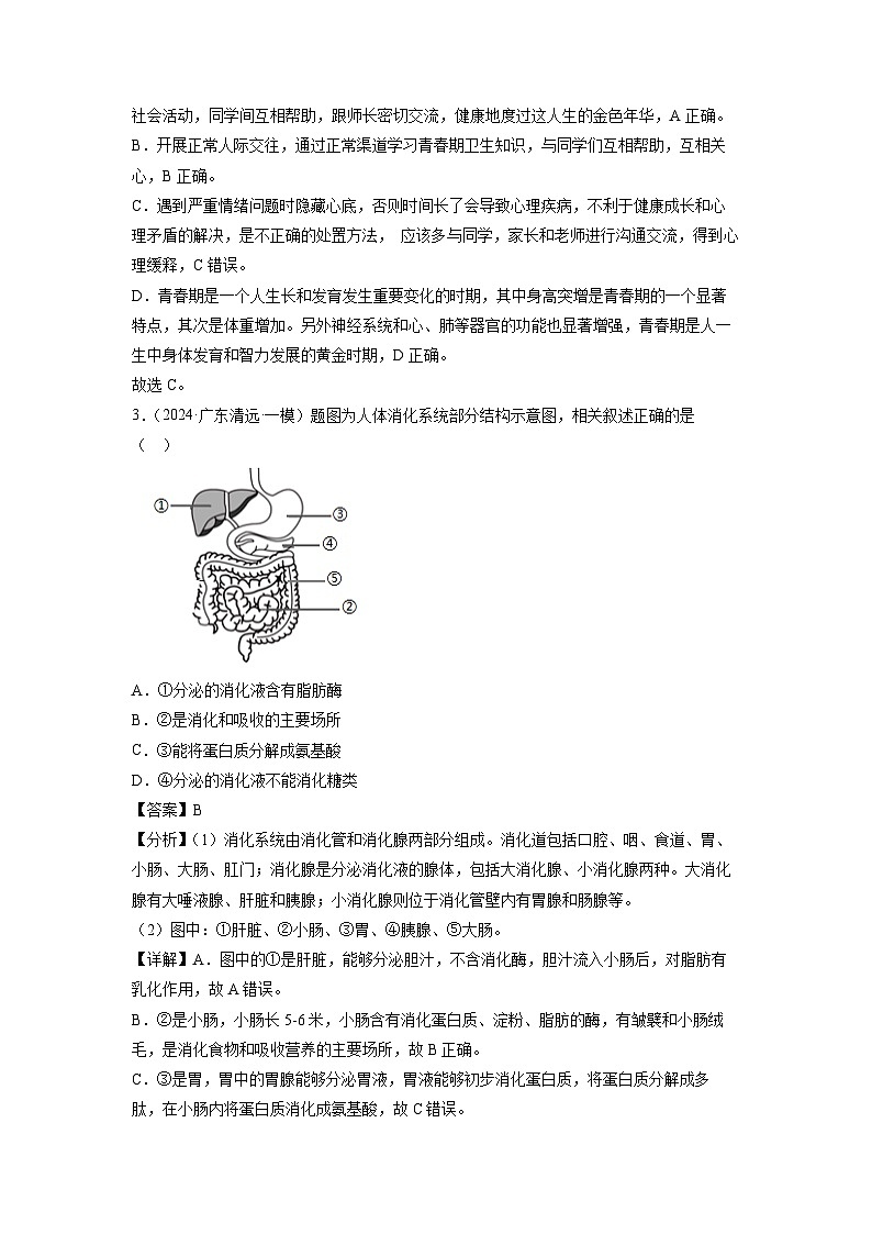 [生物]七年级下学期期末模拟卷01（广东专用）（解析版）第2页