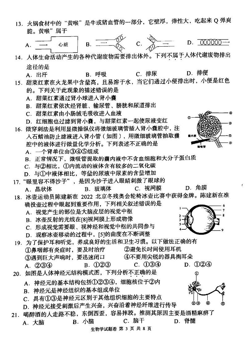 湖南省洪江市2023-2024学年七年级下学期期末质量监测生物试卷03