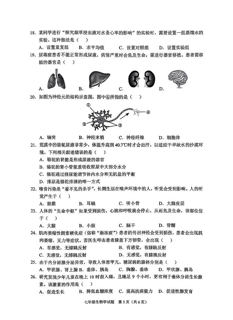 重庆市两江新区2023-2024学年七年级下学期期末抽测生物试题第3页