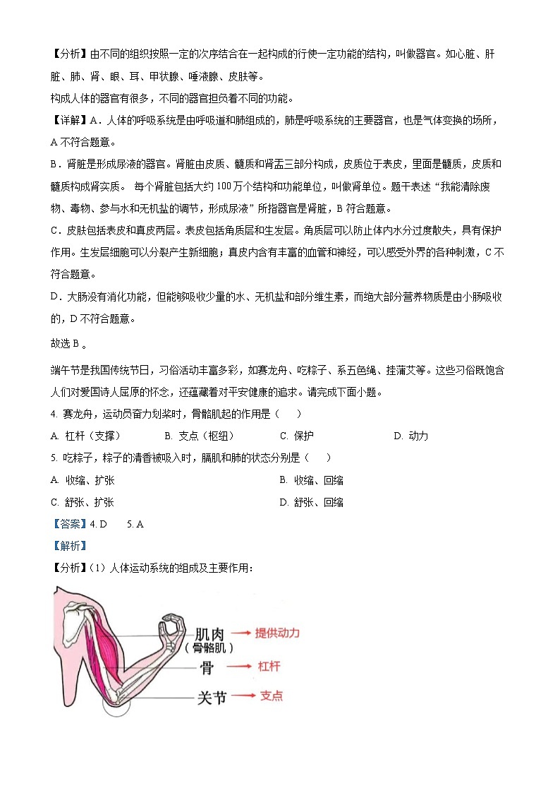 2024年中考真题—江西省生物试题（解析版）02