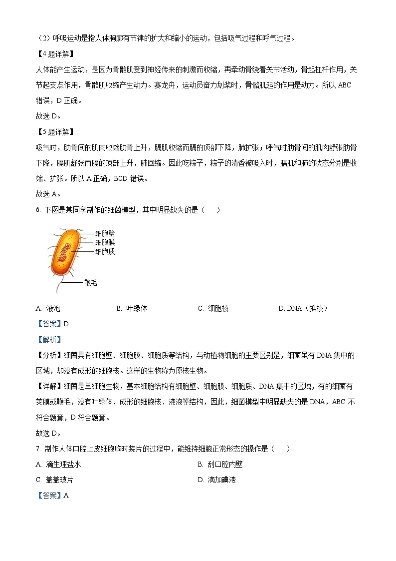 2024年中考真题—江西省生物试题（解析版）03