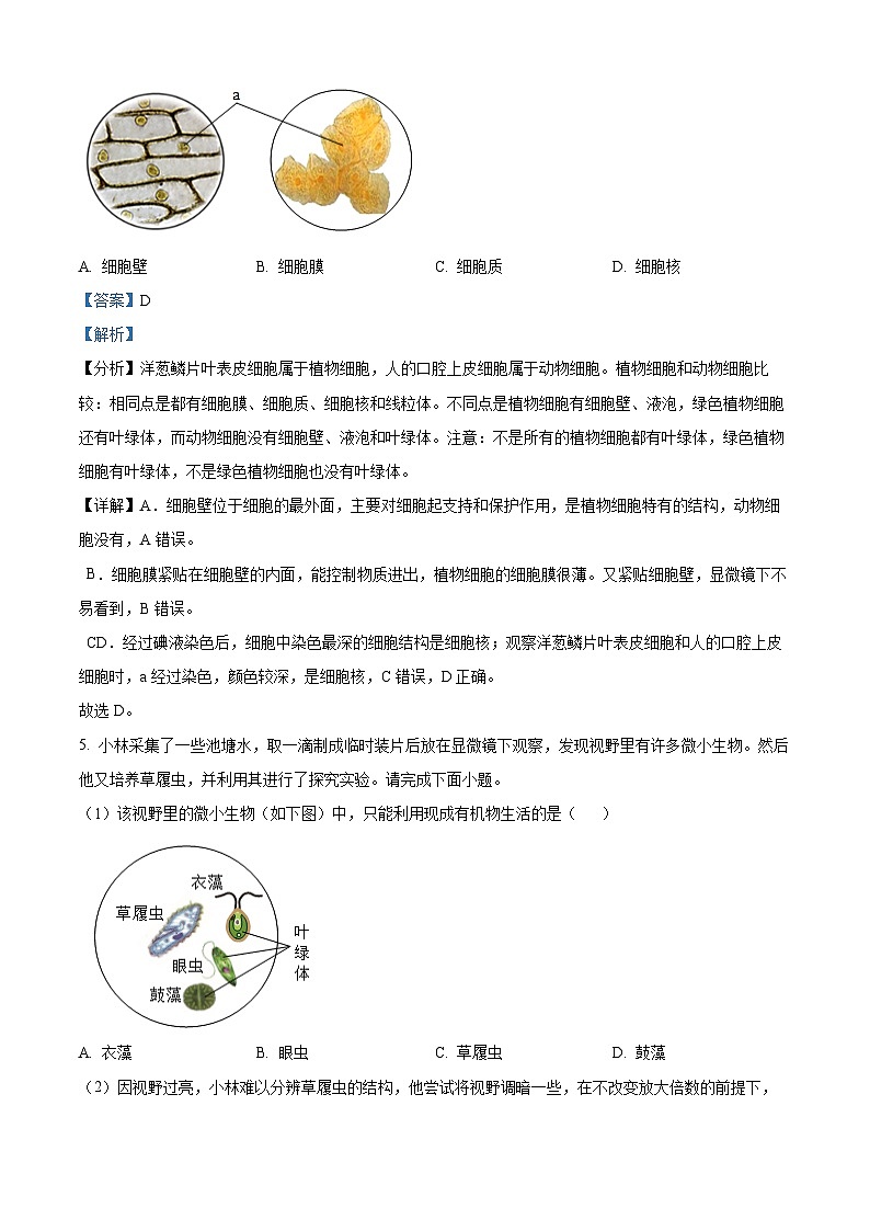 2024年中考真题—山西省生物试题（解析版）03