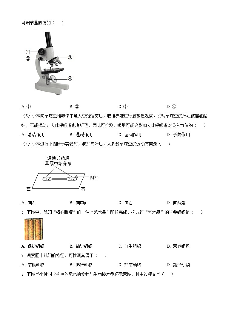 2024年中考真题—山西省生物试题（原卷版）02