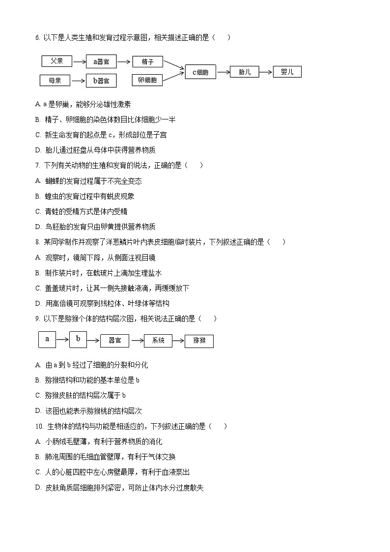 2024年中考真题—四川省广安市生物试题（原卷版）02