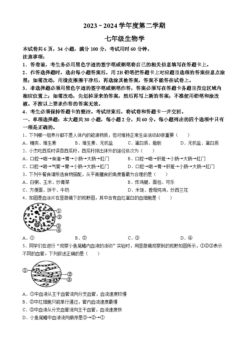 广东省韶关市2023-2024学年七年级下学期6月期末生物试题01