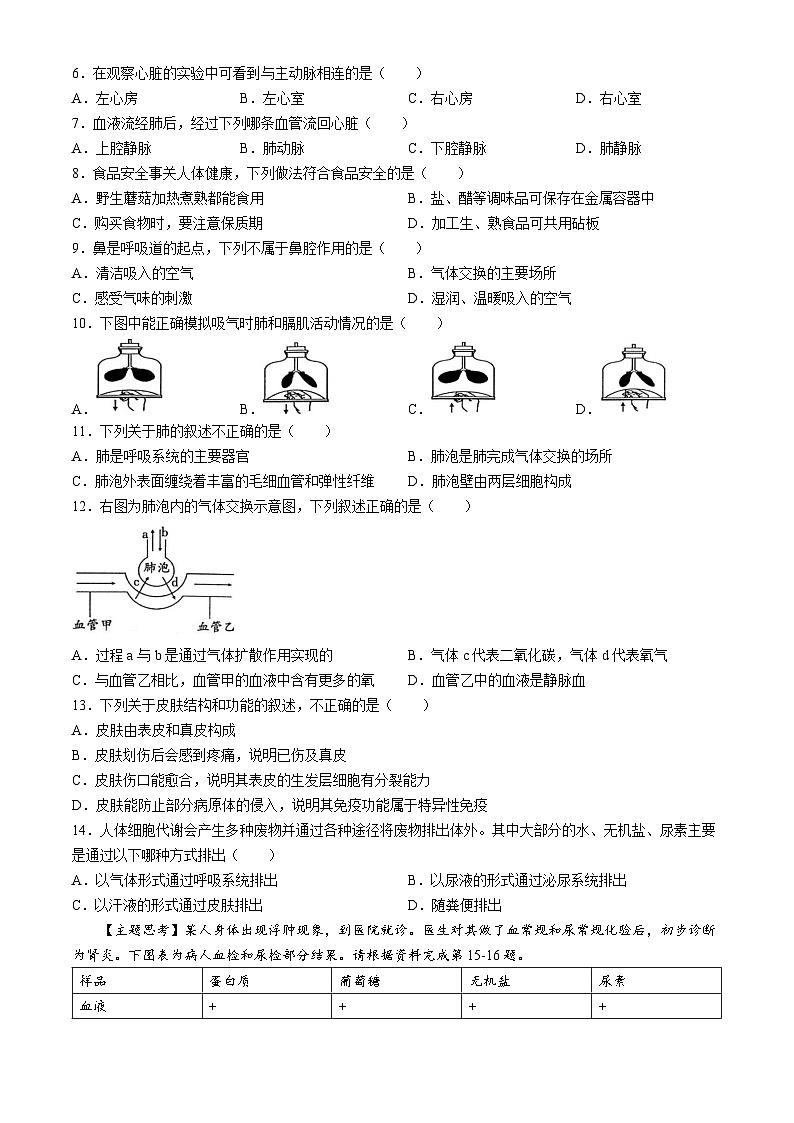 广东省韶关市2023-2024学年七年级下学期6月期末生物试题02