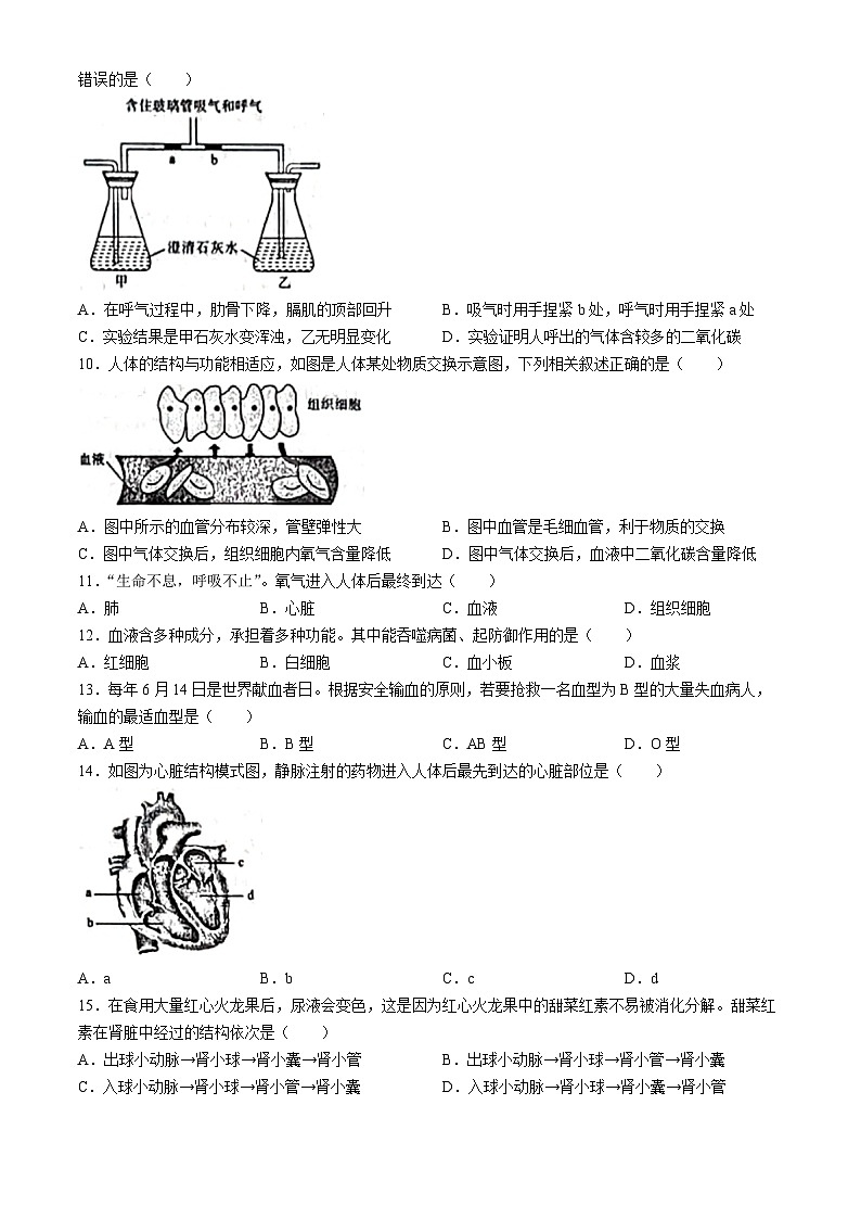 河南省开封市兰考县2023-2024学年七年级下学期6月期末生物试题(无答案)第2页