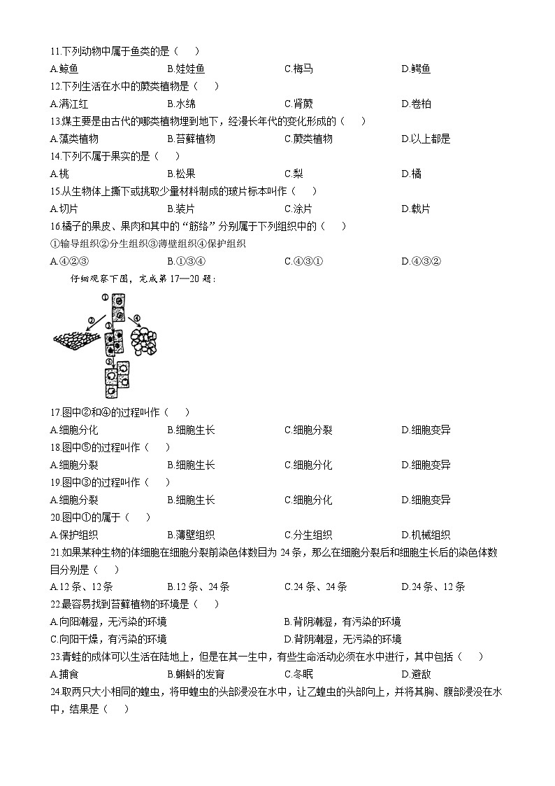 江苏省扬州大学附属中学东部分校2023-2024学年七年级下学期6月期末生物试题(无答案)第2页