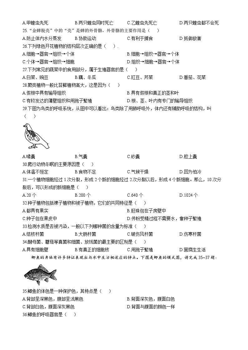 江苏省扬州大学附属中学东部分校2023-2024学年七年级下学期6月期末生物试题(无答案)第3页