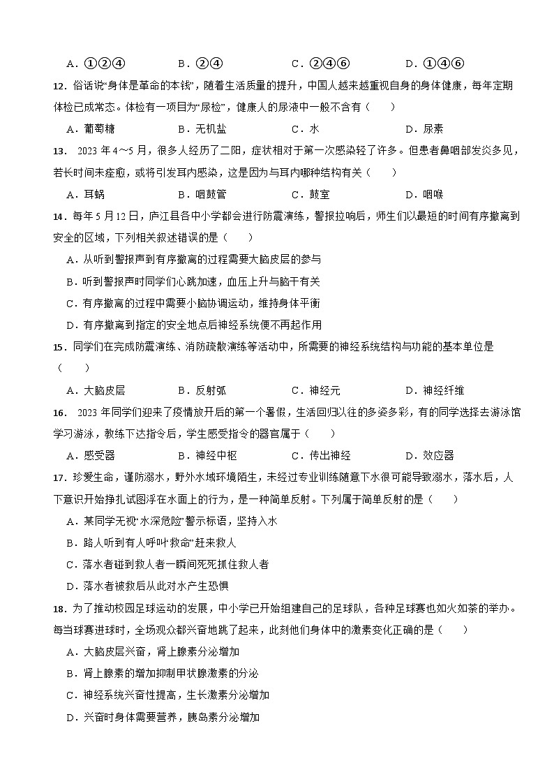 安徽省合肥市2024年七年级下学期生物期末试题附答案第3页