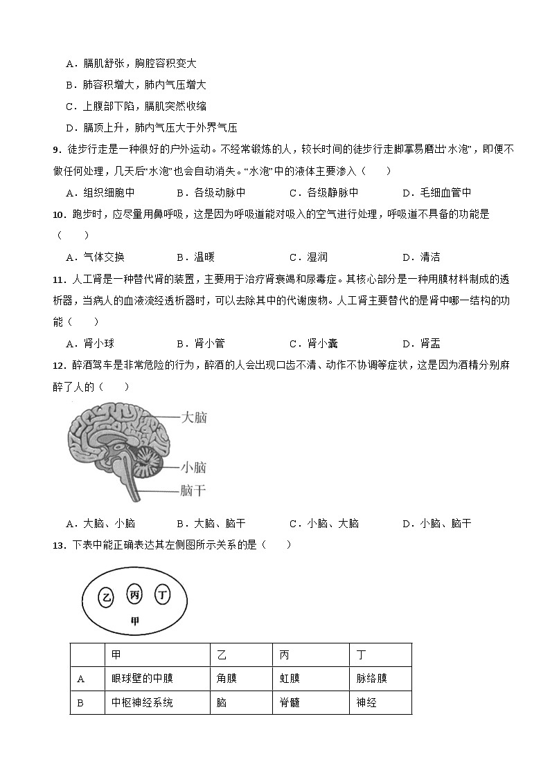 广西百色市2024年七年级下学期生物期末试卷附答案第2页