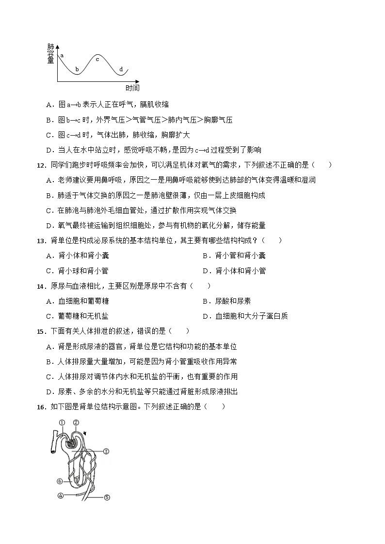 河北省石家庄市2024年七年级下册生物期末试卷附答案03