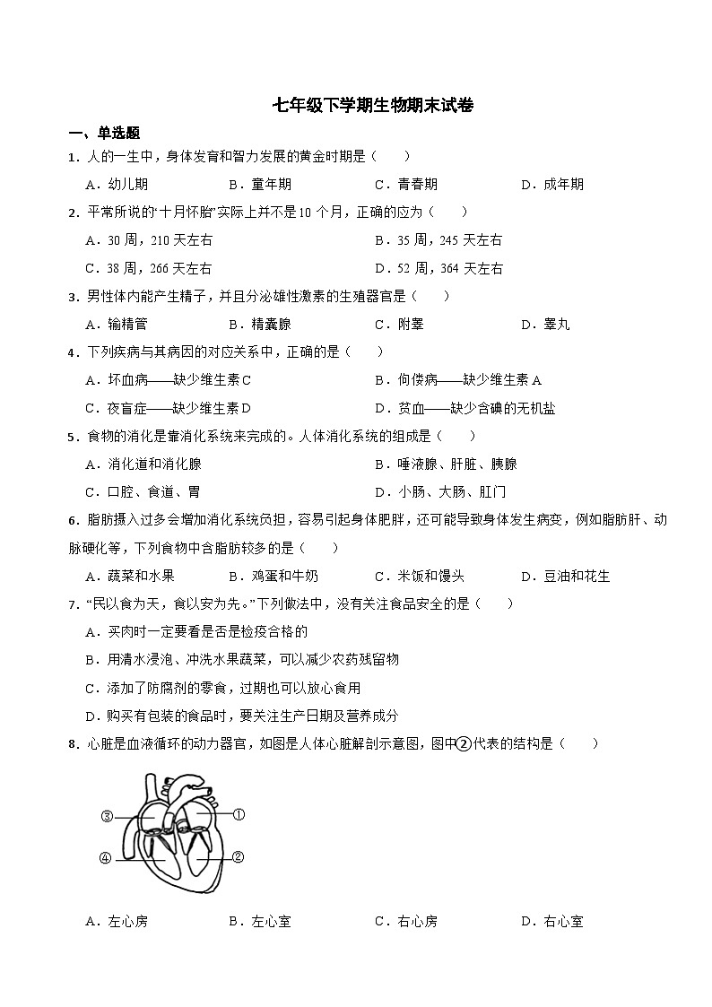 黑龙江省哈尔滨市2024年七年级下学期生物期末试卷附答案01