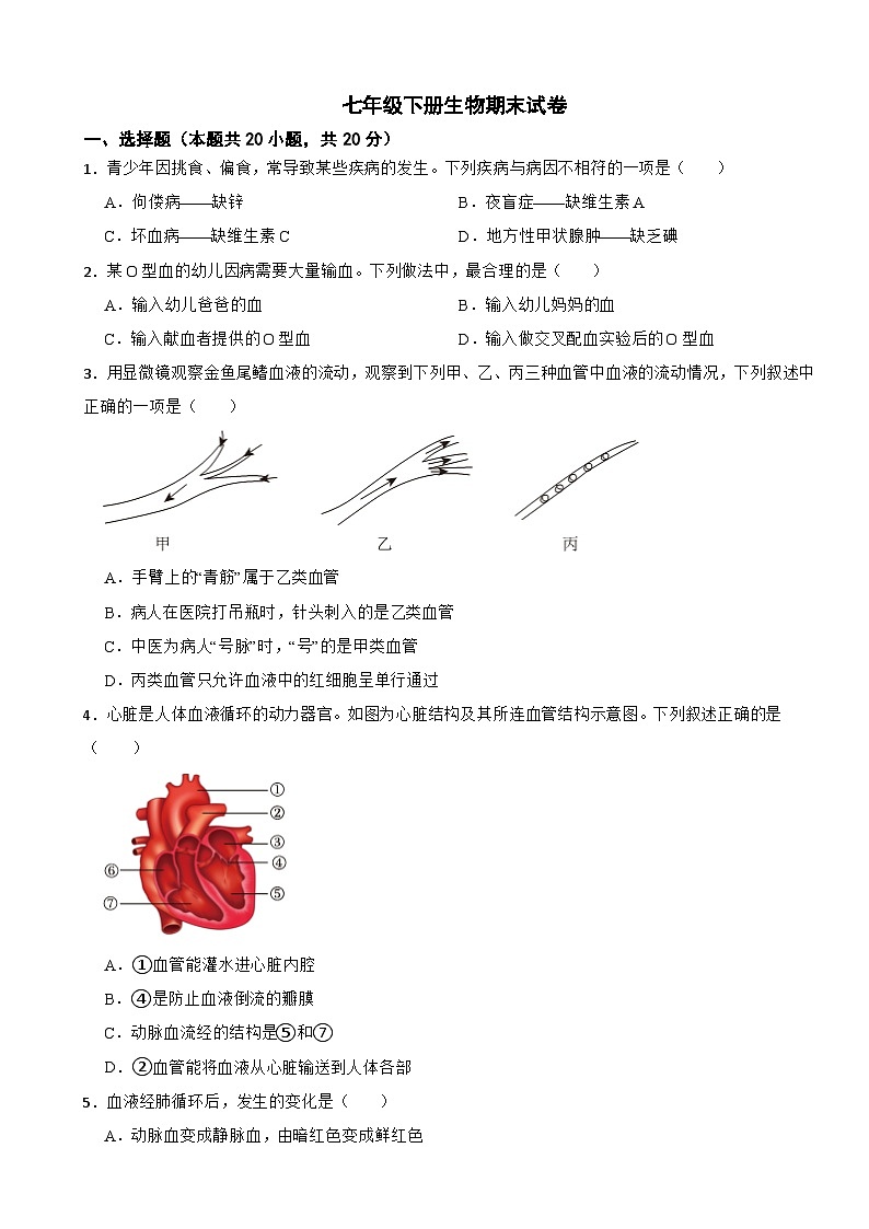 重庆市长寿区2024年七年级下册生物期末试卷附答案第1页