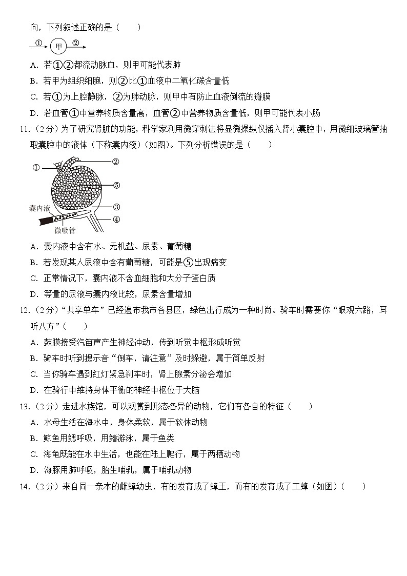 2024年山东省聊城市中考生物试卷附答案03