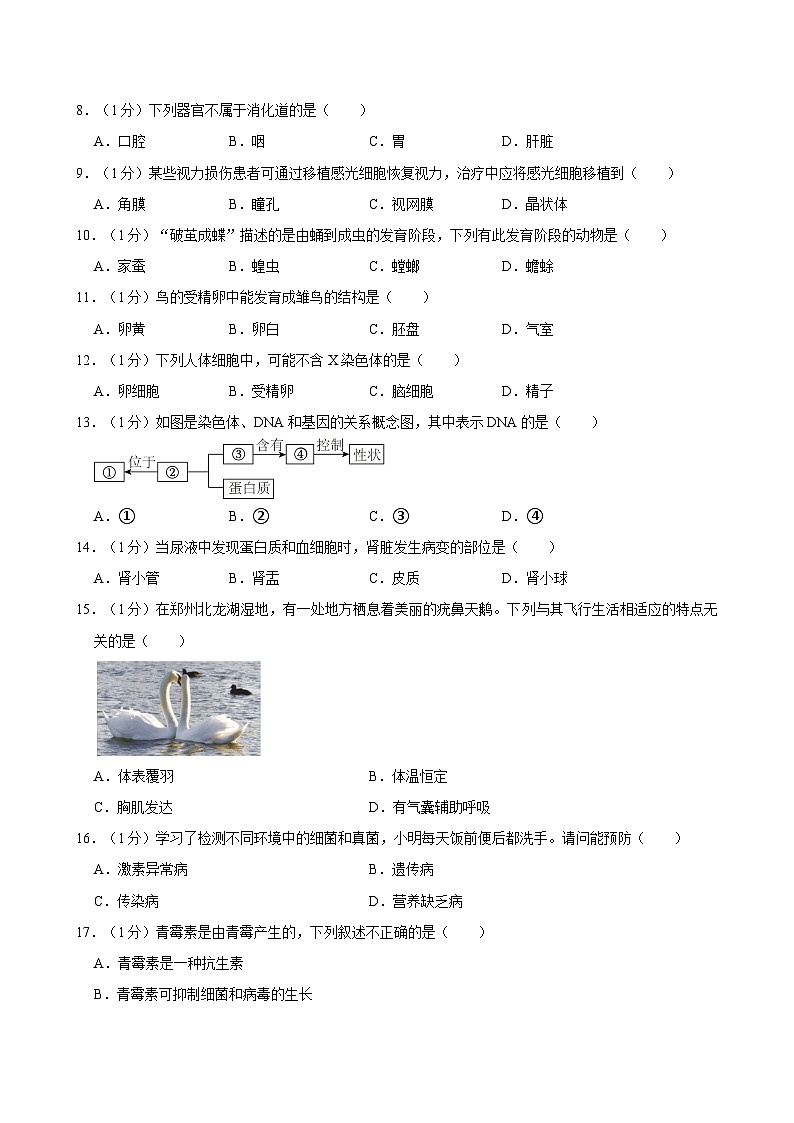 河南省安阳市滑县2023-2024学年八年级下学期3月月考生物试题02