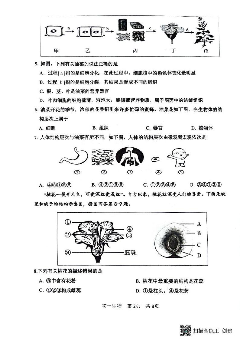 江苏省淮安市开明集团校2023-2024学年七年级下学期6月期末生物试题第2页