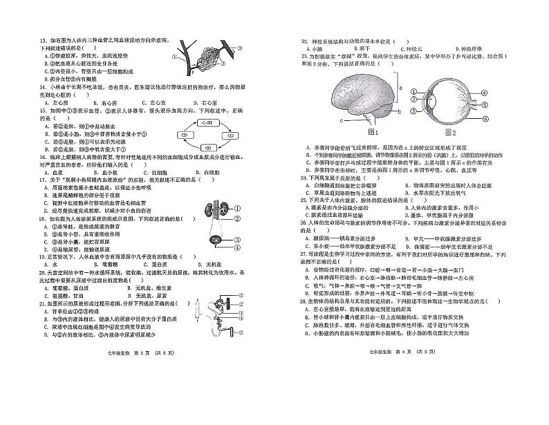 江西省新余市2023-2024学年七年级下学期6月期末生物试题02