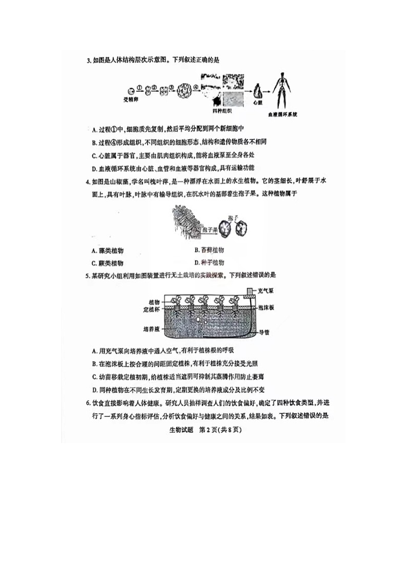 2024年山东省泰安市中考生物试题第2页