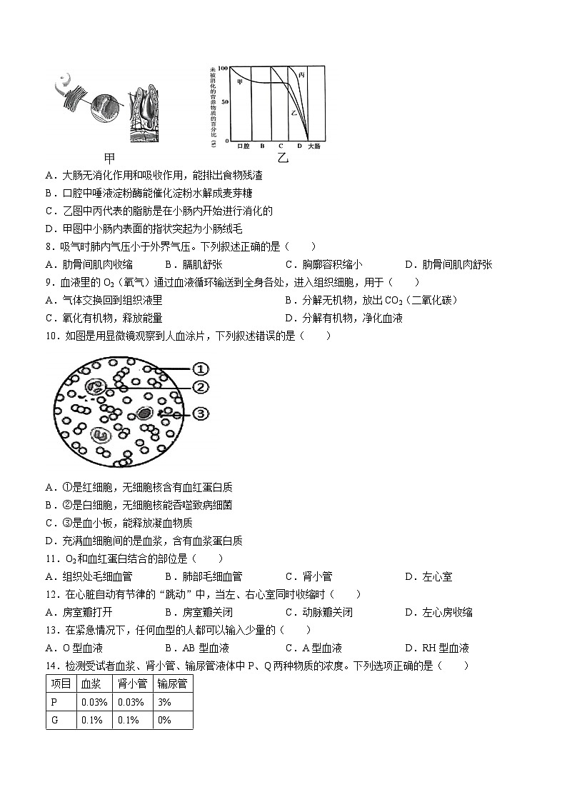 重庆市大足区2023-2024学年七年级下期期末质量检测生物试题(无答案)第2页