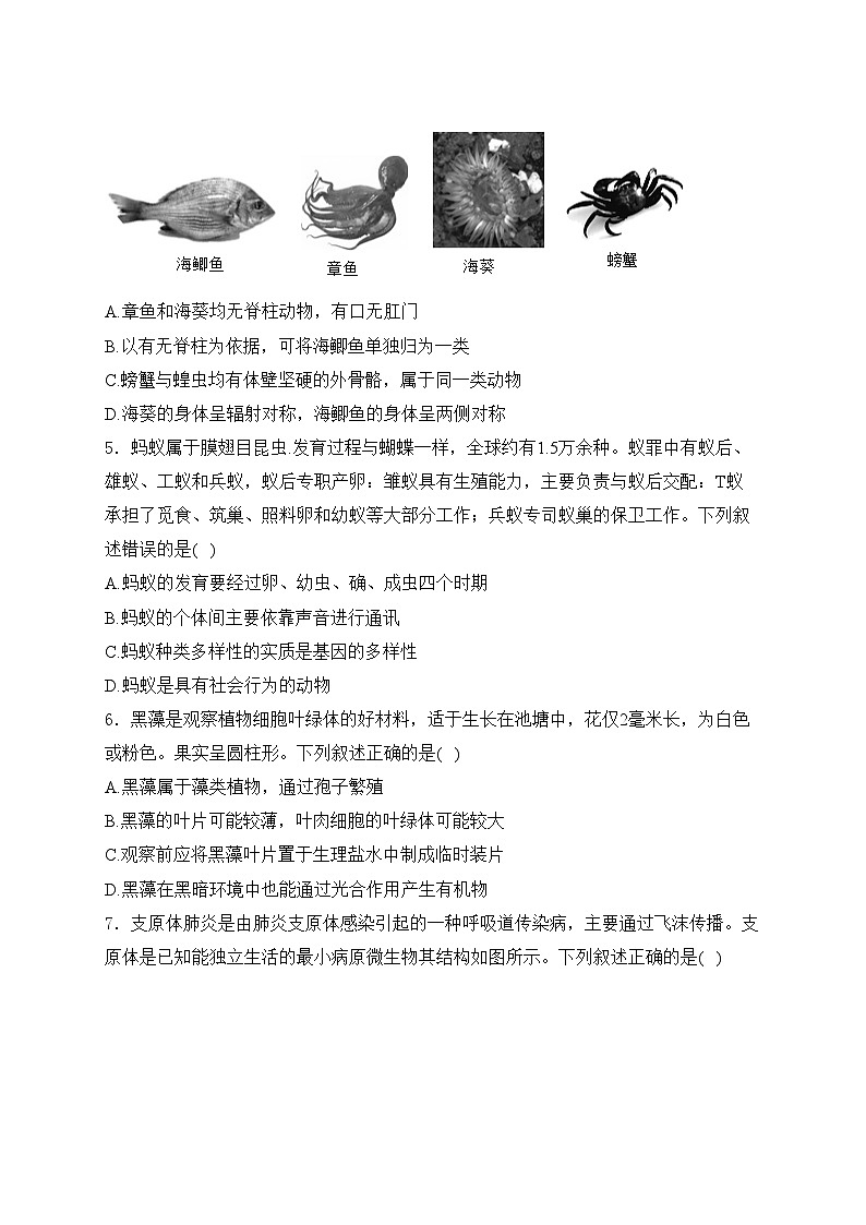 湖南省长沙市2024年初中学业水平考试模拟试卷生物试卷(含答案)第2页