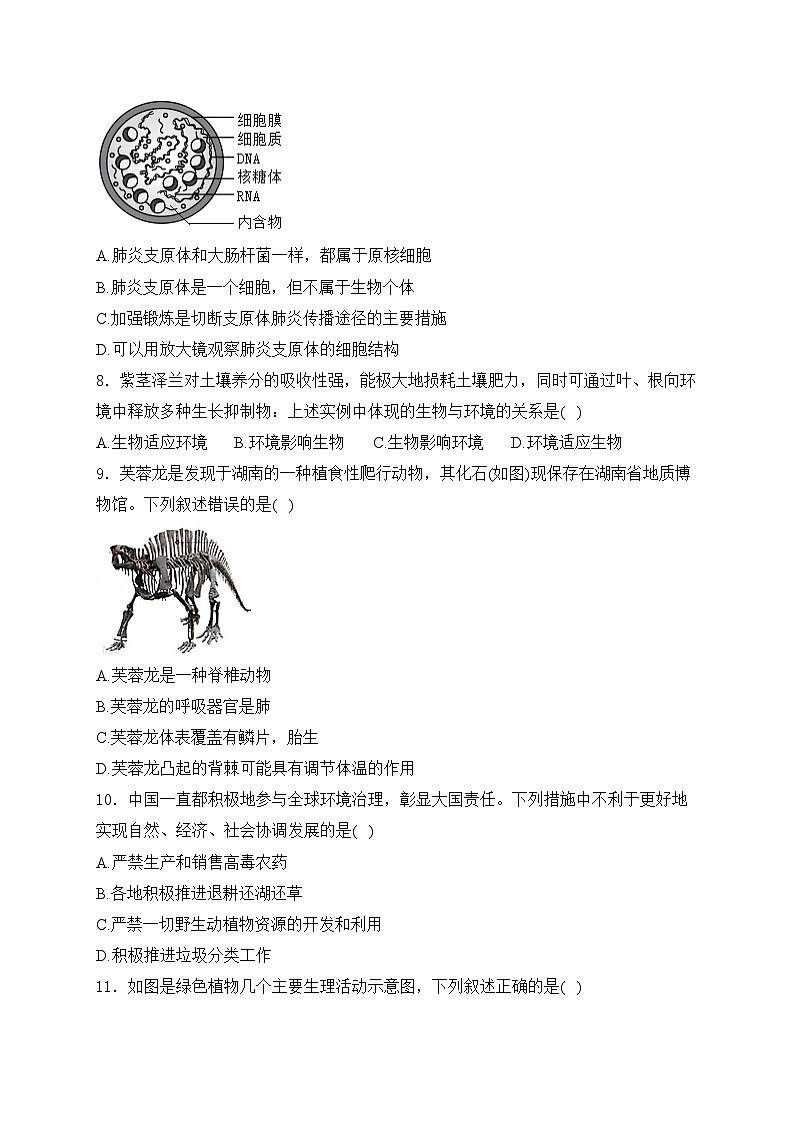 湖南省长沙市2024年初中学业水平考试模拟试卷生物试卷(含答案)第3页