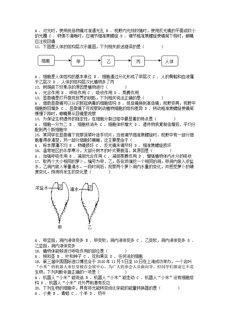 [生物]湖南省常德市澧县2023-2024学年七年级上学期期末试题02