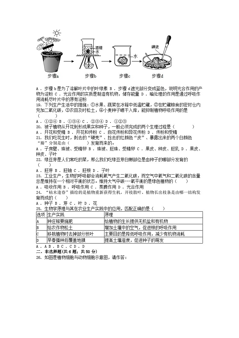 [生物]湖南省衡阳市外国语学校等校2023-2024学年七年级上学期期末联考试题第3页