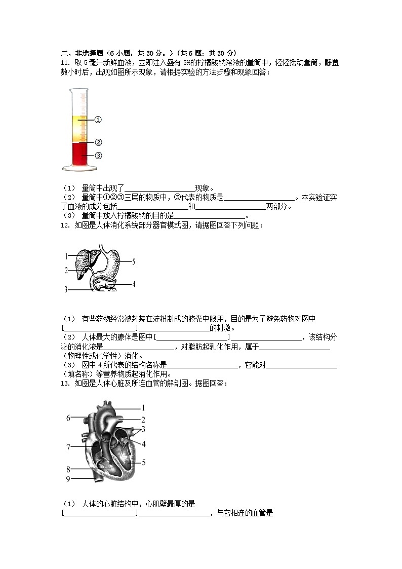 [生物]湖北省恩施土家族苗族自治州来凤县实验中学2023-2024学年七年级下学期4月月考试卷第2页